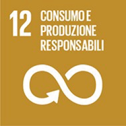 sdg