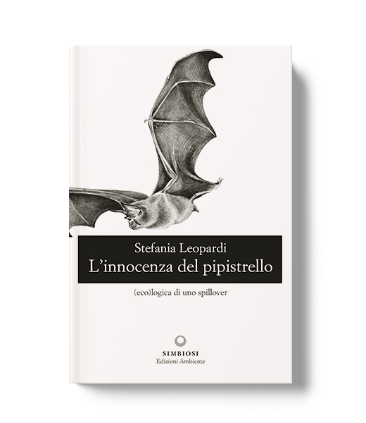 L’innocenza del pipistrello