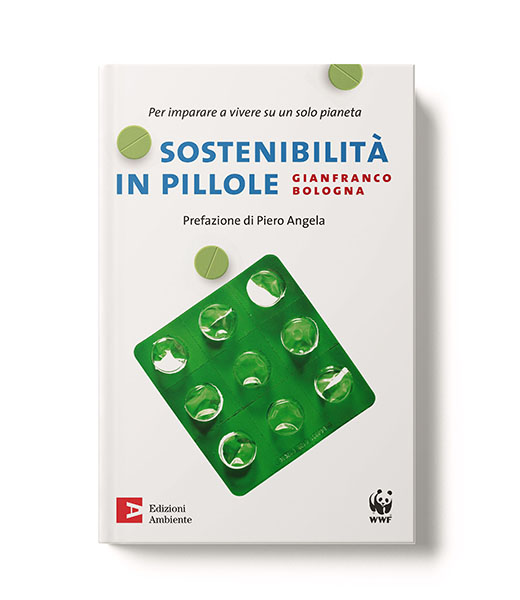 Sostenibilità in pillole